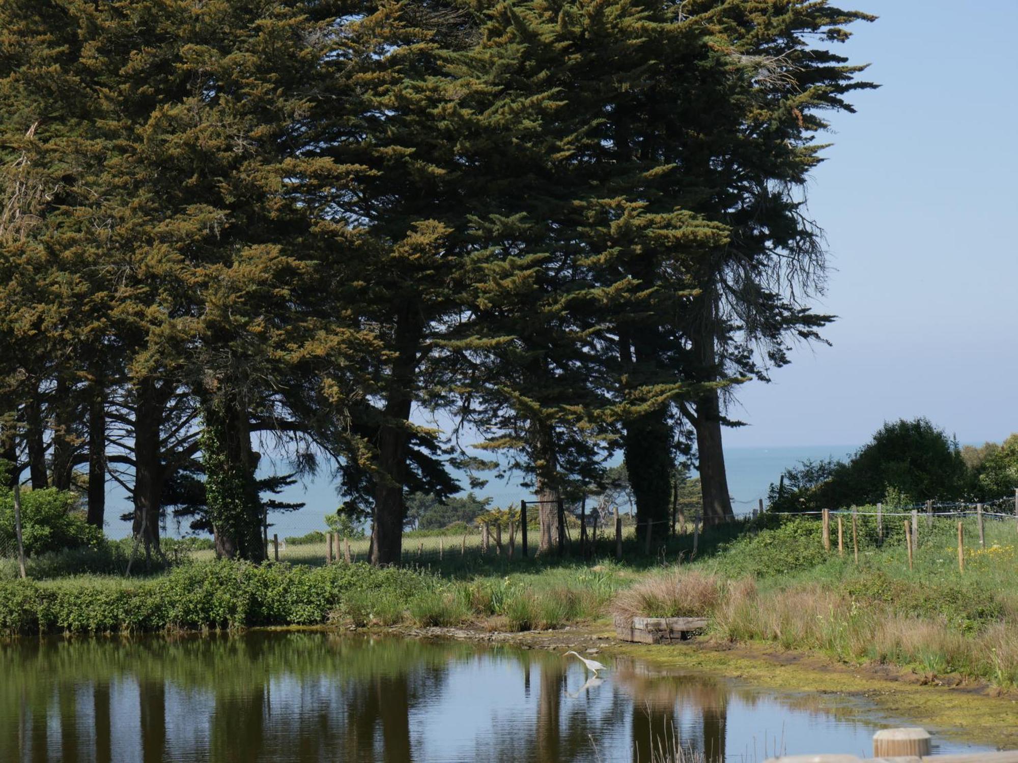 Eco-Domaine La Fontaine - Hotel-Spa Pornic Kültér fotó